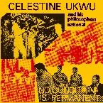 Pochette No Condition Is Permanent
