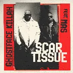 Pochette Scar Tissue