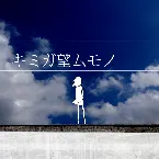 Pochette キミガ望ムモノ