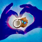 Pochette Noix de Coco (Dimension Bonus Remix)