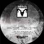 Pochette Times Like These / Organic Dub