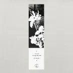 Pochette Strange Attractor