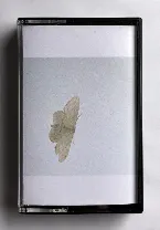 Pochette Indole