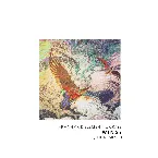 Pochette Wings (The Remixes)