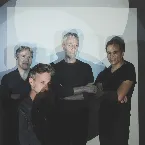 Pochette Cardinal céleste