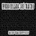 Pochette Wunderland bei Nacht