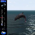 Pochette Ocean Chamber