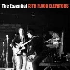 Pochette The Essential 13th Floor Elevators