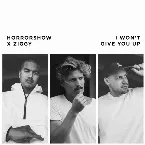 Pochette I Won't Give You Up