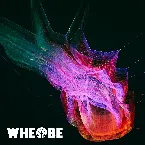 Pochette Singularity