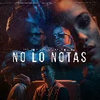 Pochette No lo notas