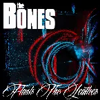 Pochette Flash the Leather