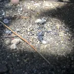 Pochette Dust to Dust