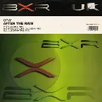 Pochette After the Rain