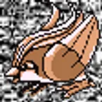 Pochette #018 ~ Pidgeot