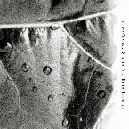 Pochette Echo Passage