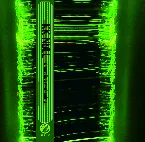 Pochette Ghost Dub Awakening