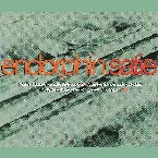 Pochette Satie