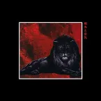 Pochette Pain & Glory