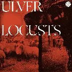 Pochette Locusts