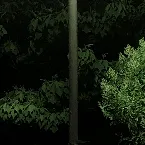 Pochette Slight Light Night