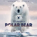 Pochette Disneynature: Polar Bear (Original Soundtrack)