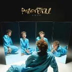 Pochette Potential
