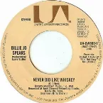 Pochette Never Did Like Whiskey / No Other Man