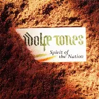 Pochette Spirit of the Nation