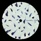 Pochette Paramagnetism