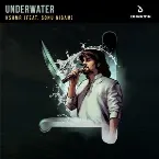 Pochette Underwater