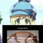 Pochette Silverfish Scaling, (≠)