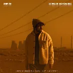 Pochette Dornaye Mongharez