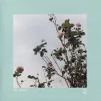 Pochette ばらの花