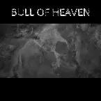 Pochette The Deathless Element