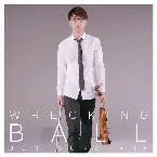 Pochette Wrecking Ball