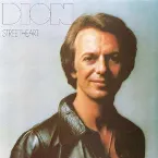 Pochette Streetheart