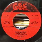 Pochette Paper Castles / Teenage Love