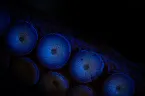 Pochette Cognition Alone Doesn't Promise Welfare and Life Satisfaction