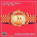 Pochette Shake Something