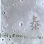 Pochette Invisible Moon