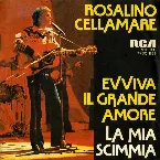 Pochette Evviva il grande amore / La mia scimmia