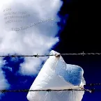 Pochette A Day Hanging Dead Between Heaven and Earth