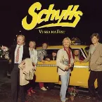 Pochette Vi ska ha fest