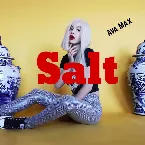 Pochette Salt