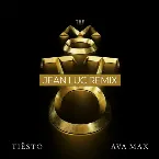 Pochette The Motto (Jean Luc remix)