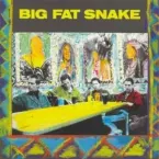 Pochette Big Fat Snake
