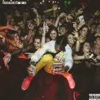 Pochette Fraudulent Feng Shui