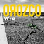 Pochette Aviónica