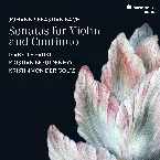 Pochette Sonatas for Violin and Continuo